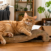 Orange tabby cat relaxing on a cardboard scratcher while a gray cat peeks from a box in a cozy living room
