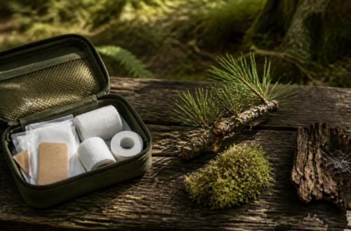 First aid kit beside pine resin, moss and spiderweb representing a fact-check of bushcraft wound remedies