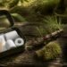 First aid kit beside pine resin, moss and spiderweb representing a fact-check of bushcraft wound remedies